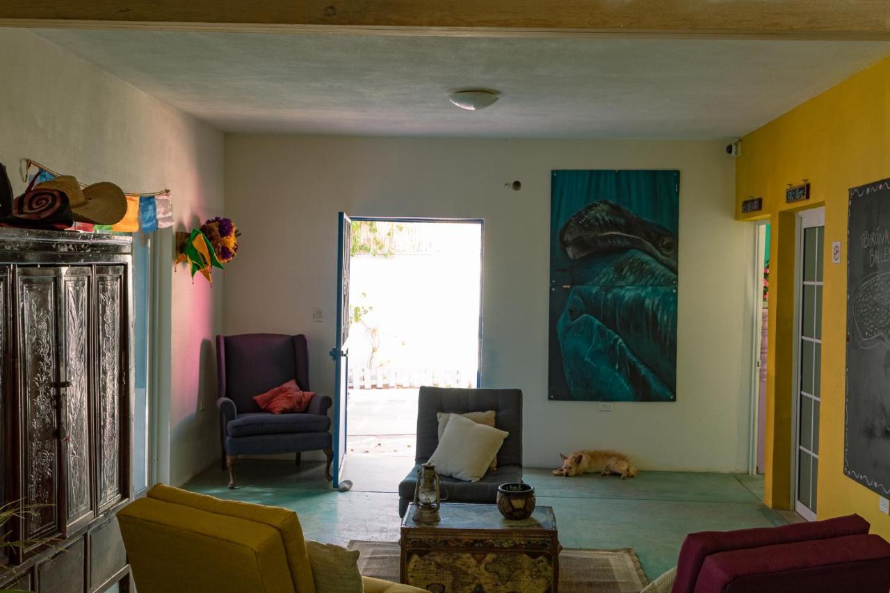 Peace Hostel Mx La Paz Εξωτερικό φωτογραφία
