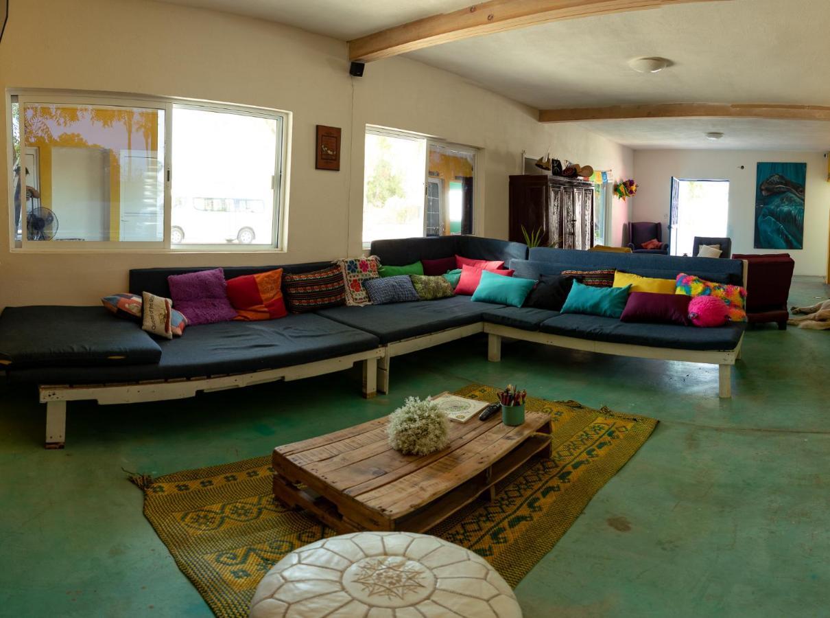 Peace Hostel Mx La Paz Εξωτερικό φωτογραφία