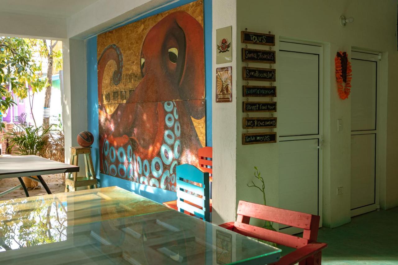 Peace Hostel Mx La Paz Εξωτερικό φωτογραφία