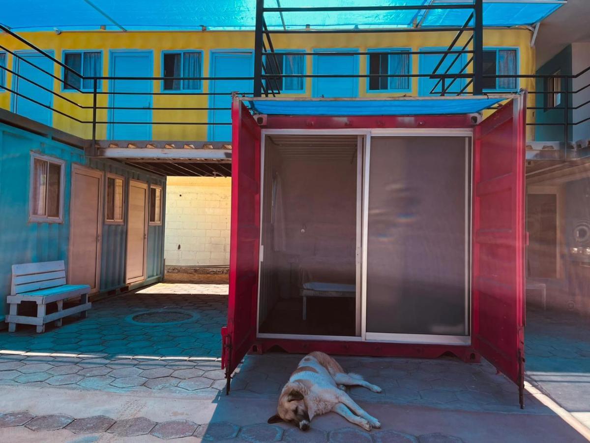 Peace Hostel Mx La Paz Εξωτερικό φωτογραφία