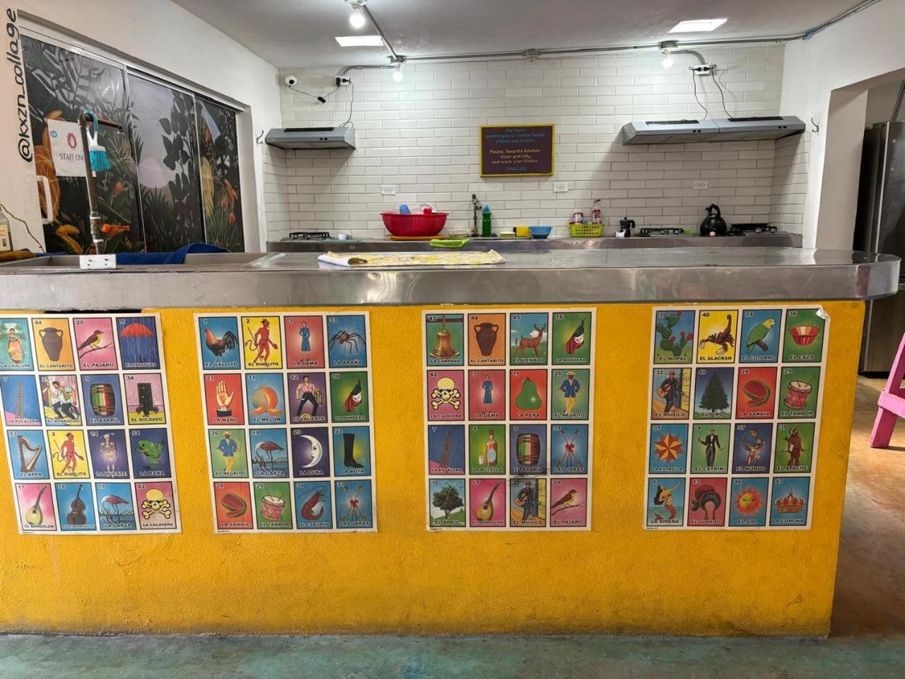 Peace Hostel Mx La Paz Εξωτερικό φωτογραφία