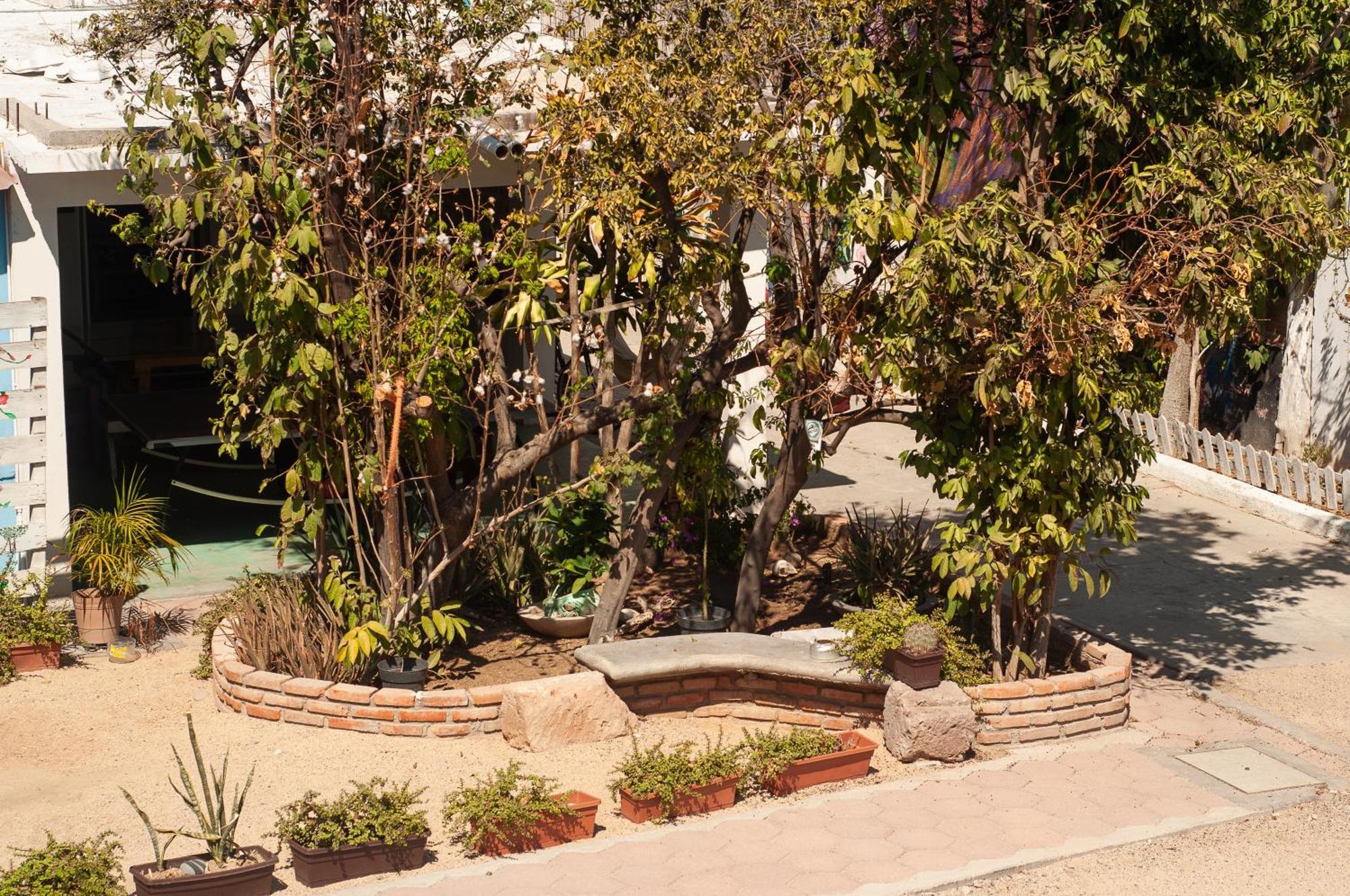 Peace Hostel Mx La Paz Εξωτερικό φωτογραφία